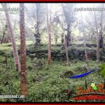 Tanah Dijual di Ubud Bali 4 Are View kebun, lingkungan Villa