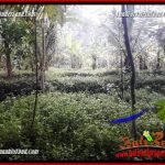 Tanah Dijual di Ubud Bali 4 Are View kebun, lingkungan Villa