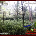 Tanah Dijual di Ubud Bali 4 Are View kebun, lingkungan Villa