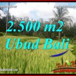 JUAL Tanah di Ubud 25 Are View sawah, lingkungan Villa