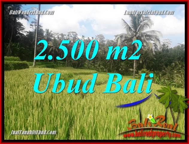 JUAL Tanah di Ubud 25 Are View sawah, lingkungan Villa