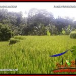 JUAL Tanah di Ubud 25 Are View sawah, lingkungan Villa