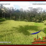 JUAL Tanah di Ubud 25 Are View sawah, lingkungan Villa