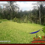 JUAL Tanah di Ubud 25 Are View sawah, lingkungan Villa