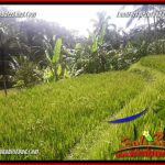 JUAL Tanah di Ubud 25 Are View sawah, lingkungan Villa