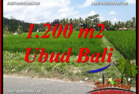 Dijual Murah Tanah di Ubud 1,200 m2 di Ubud Tampak Siring