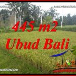 JUAL Murah Tanah di Ubud Bali 4 Are View sawah, lingkungan Villa