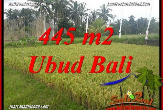 JUAL Murah Tanah di Ubud Bali 4 Are View sawah, lingkungan Villa