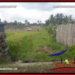 JUAL Murah Tanah di Ubud Bali 4 Are View sawah, lingkungan Villa