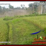 JUAL Murah Tanah di Ubud Bali 4 Are View sawah, lingkungan Villa