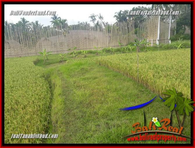 JUAL Murah Tanah di Ubud Bali 4 Are View sawah, lingkungan Villa