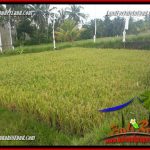 JUAL Murah Tanah di Ubud Bali 4 Are View sawah, lingkungan Villa