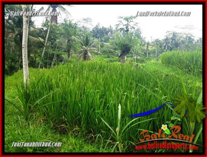 JUAL Tanah di Ubud Untuk Investasi TJUB696