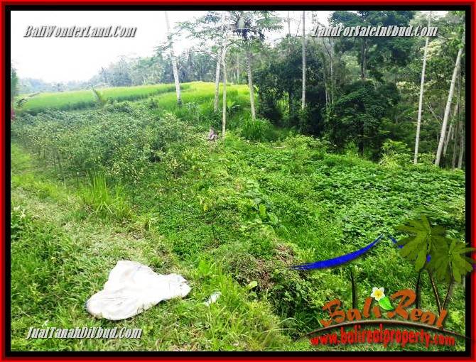 JUAL Tanah di Ubud Untuk Investasi TJUB696