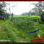 JUAL Tanah di Ubud Untuk Investasi TJUB696