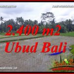 JUAL Murah Tanah di Ubud Bali 24 Are di Ubud Pejeng