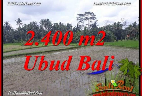 JUAL Murah Tanah di Ubud Bali 24 Are di Ubud Pejeng