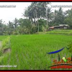 JUAL Murah Tanah di Ubud Bali 24 Are di Ubud Pejeng