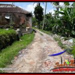 JUAL Murah Tanah di Ubud Bali 24 Are di Ubud Pejeng