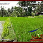 JUAL Murah Tanah di Ubud Bali 24 Are di Ubud Pejeng