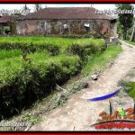 JUAL Murah Tanah di Ubud Bali 24 Are di Ubud Pejeng