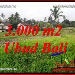 Dijual Tanah Murah di Ubud Bali 30 Are di Ubud Tegalalang