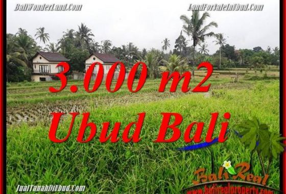 Dijual Tanah Murah di Ubud Bali 30 Are di Ubud Tegalalang