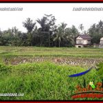 Dijual Tanah Murah di Ubud Bali 30 Are di Ubud Tegalalang