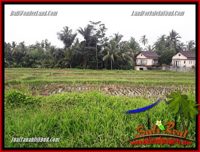 Dijual Tanah Murah di Ubud Bali 30 Are di Ubud Tegalalang