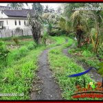 Dijual Tanah Murah di Ubud Bali 30 Are di Ubud Tegalalang