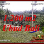 Tanah Dijual di Ubud Bali 1,200 m2 di Ubud Tegalalang