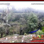 Tanah Dijual di Ubud Bali 1,200 m2 di Ubud Tegalalang