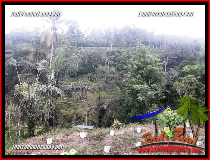 Tanah Dijual di Ubud Bali 1,200 m2 di Ubud Tegalalang