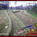 Tanah Dijual di Ubud Bali 1,200 m2 di Ubud Tegalalang