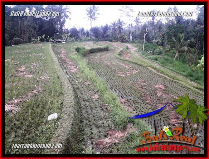 Tanah Dijual di Ubud Bali 1,200 m2 di Ubud Tegalalang