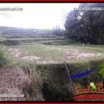 Tanah Dijual di Ubud Bali 1,200 m2 di Ubud Tegalalang