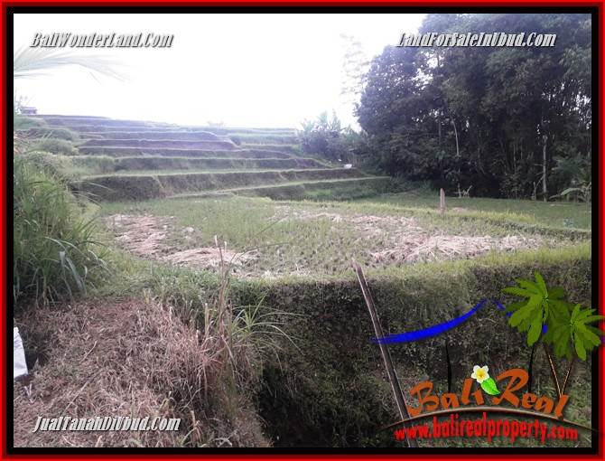 Tanah Dijual di Ubud Bali 1,200 m2 di Ubud Tegalalang