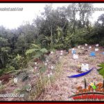 Tanah Dijual di Ubud Bali 1,200 m2 di Ubud Tegalalang