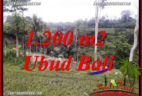 Tanah di Ubud Bali Dijual 12 Are View sawah dan sungai