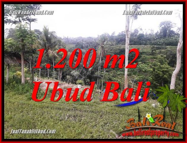 Tanah di Ubud Bali Dijual 12 Are View sawah dan sungai