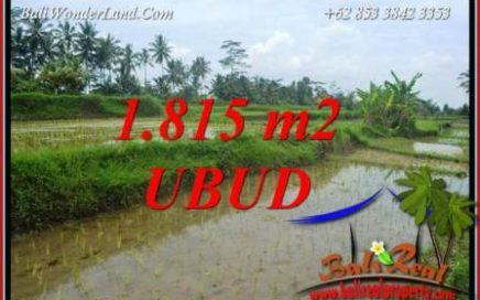 Tanah Murah jual Ubud 18 Are View sawah