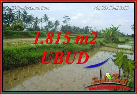 Tanah Murah jual Ubud 18 Are View sawah