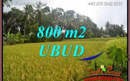 Tanah Murah Dijual di Ubud 800 m2 di Sentral Ubud