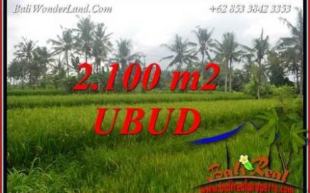 JUAL Murah Tanah di Ubud 21 Are View Sawah