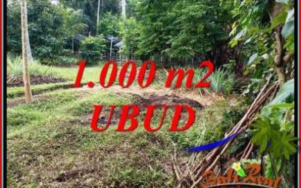 Tanah Dijual di Ubud Bali 10 Are di Sentral Ubud