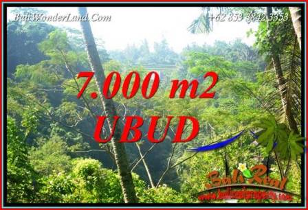 Dijual Murah Tanah di Ubud 70 Are di Ubud Tegalalang