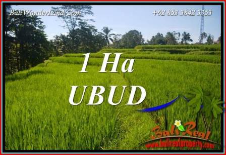 Tanah Dijual di Ubud Bali 10,000 m2 di Ubud Tegalalang