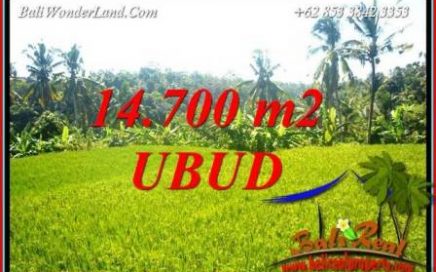 JUAL Tanah di Ubud Bali TJUB717