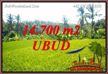 JUAL Tanah di Ubud Bali TJUB717