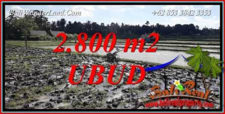 JUAL Tanah di Ubud Bali 28 Are View Sawah